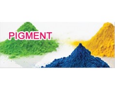 Plastic Pigment